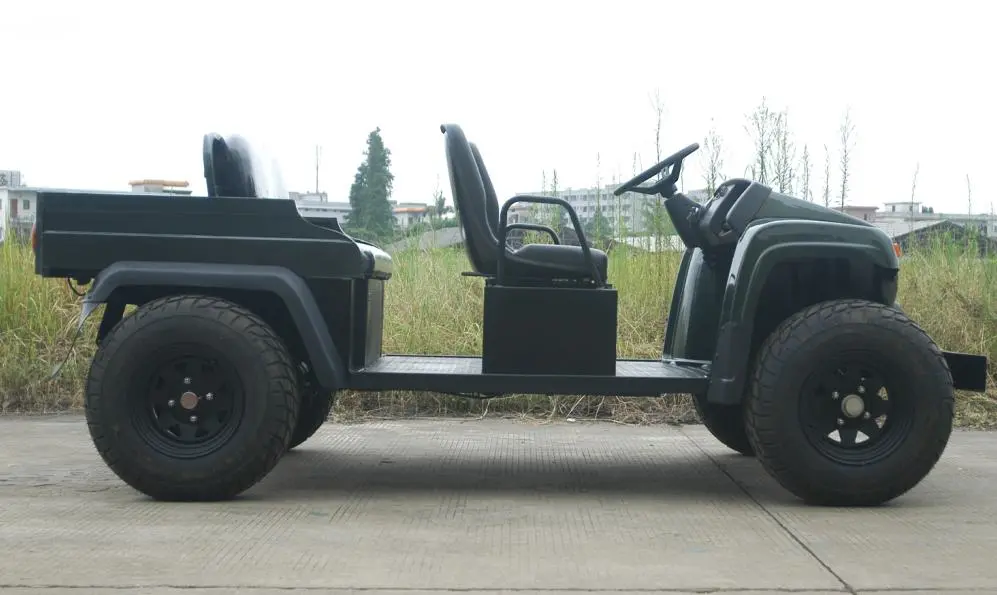 Great Product 5kw Hunting Buggy Truck