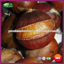 Organic Quick Frozen Ringent Cooked Chestnut