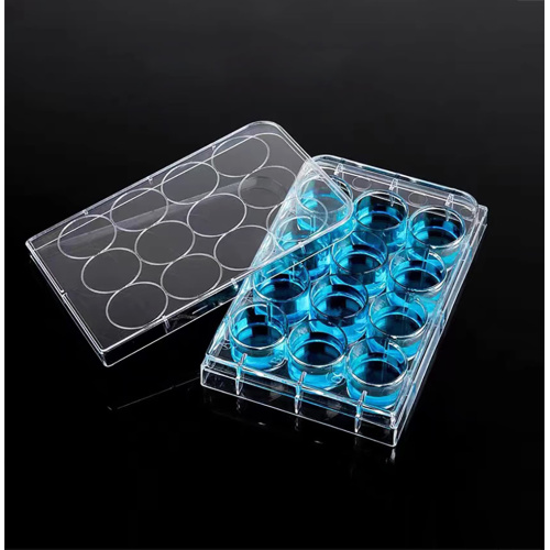 TC-treated Cell Culture Plates 12-Well Clear Flat Bottom