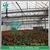 moderate price and great quality agricultural sprinkler water sprinkler nozzle