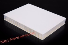 Fiber-reinforced plastic honeycomb sandwich panel