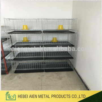 H type cage for broiler chicken