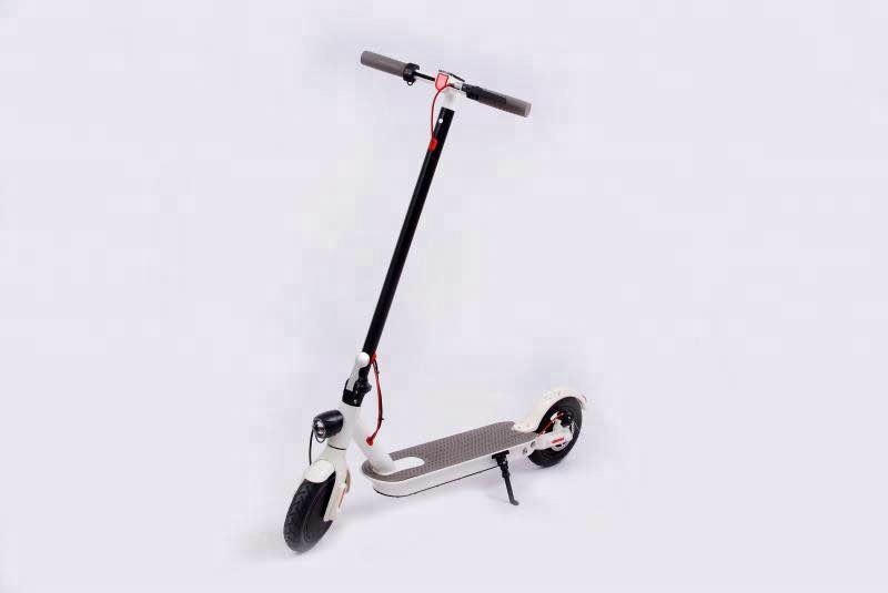 Skateboard Scooter Electric