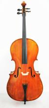 Antique Oil Varnish Professional Advanced Cello