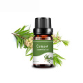 100% pure Cajeput Essential Oil At Best Price Analgesic