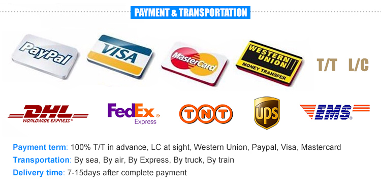 PH-070A   Intelligent programmable temperature controller(LCD) Ovne Incubator(dual-purpose)