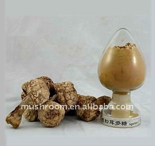 Agaricus blazei mushroom extract