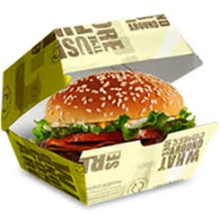 Disposable Hamburger Boxes Rice Chicken Roll Food Packing