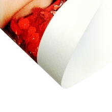 PVC Coated Glossy/Matte Frontlit Banner for Custom Advertising - UV Printing