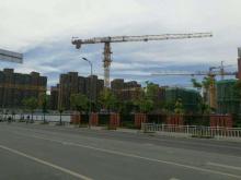 Hammerhead Tower Crane on sale