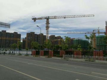 Hammerhead Tower Crane on sale