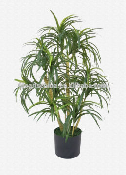 fake plant, tropical plant, mini dracenea