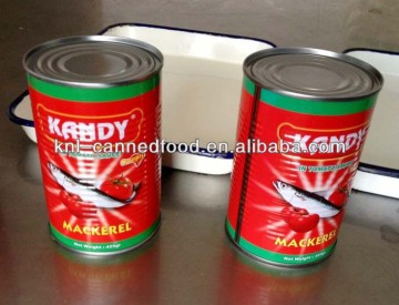 indian mackerel fish in tomato sauce