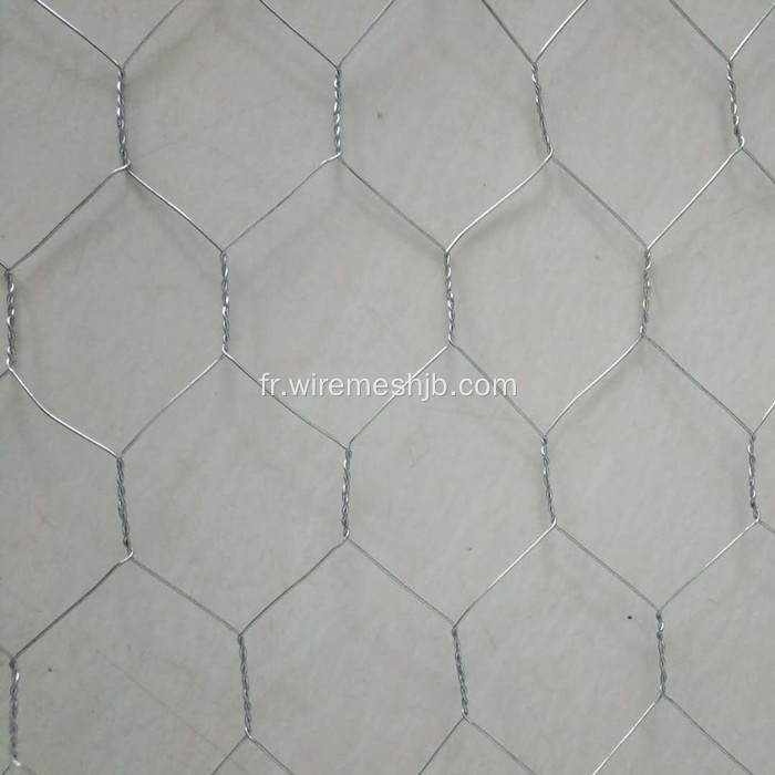 Treillis métallique hexagonal galvanisé de 1 po