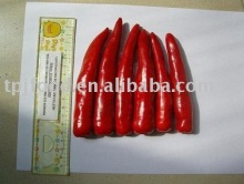 IQF chilli(jinta) with FDA