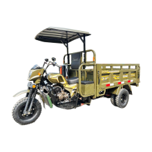 Top Cover Tricycle for Enhanced Load Security