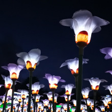 Outdoor Garden  Kapok Lights