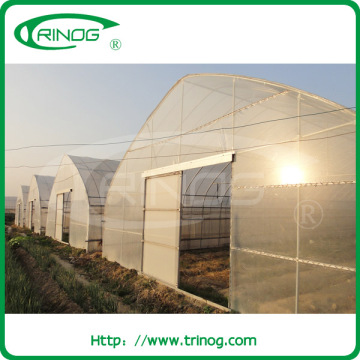 Commercial greenhouse for sale greenhouse garden