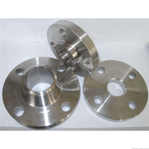 Forging Weld Neck Flange Pn16 Stainless Steel Pipe Flanges