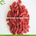 Approvisionnement d&#39;usine séché fruits sains Goji Berry