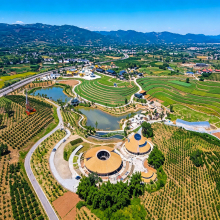 Efficient Shaping Crusher for Flakiness Reduction