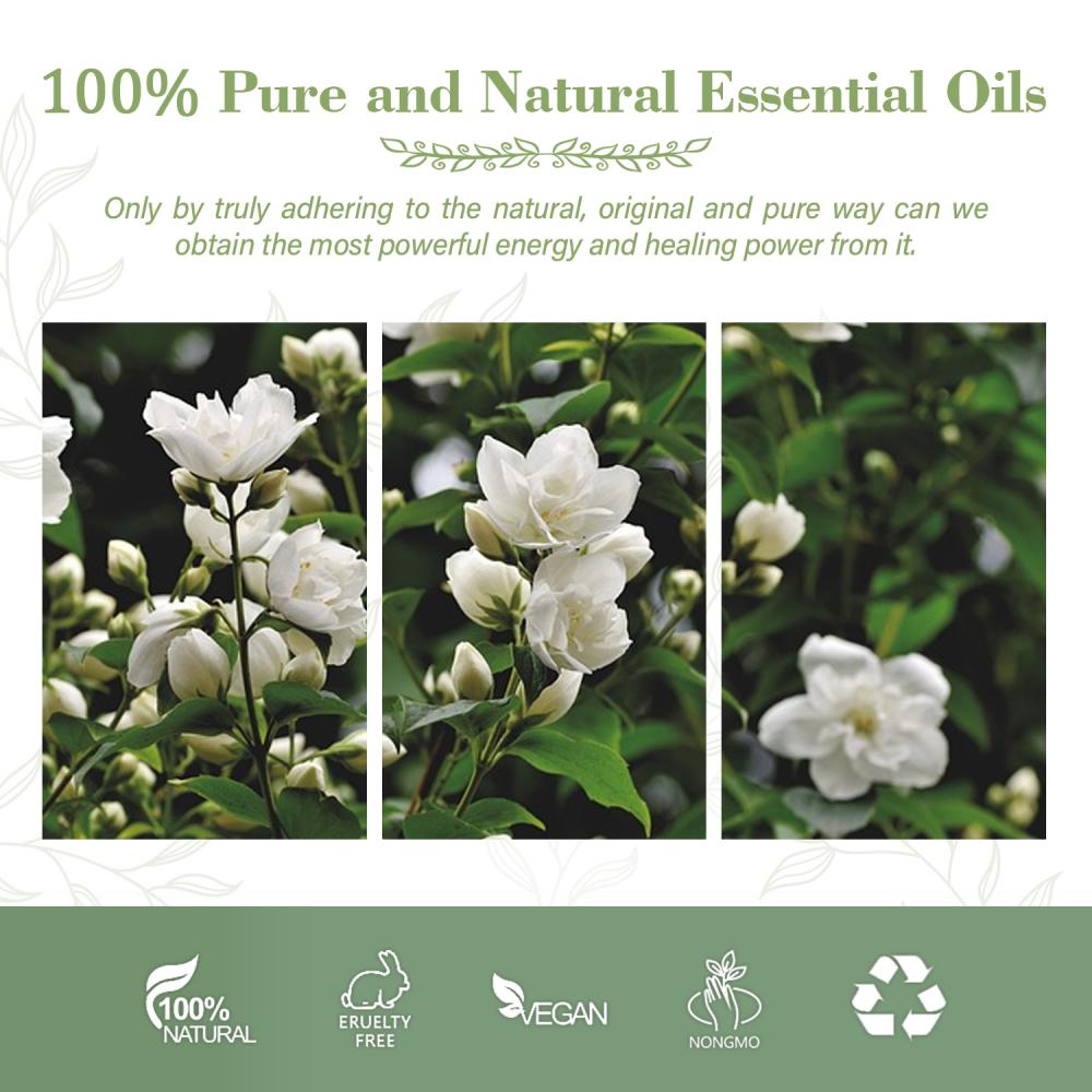 Best Skincare Flower Jasmine Essential Oil Bulk Price For Body Oil