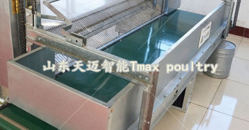 Chicken Transverse Birds Conveyer Equipmet