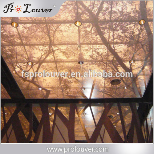 Artwork image perforated aluminum panel used for ceiling