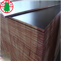 18mm brown film faced shuttering plywood for construction