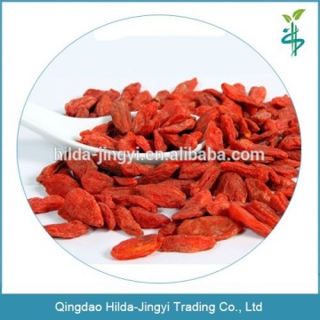 Chinese goji berries healthy food