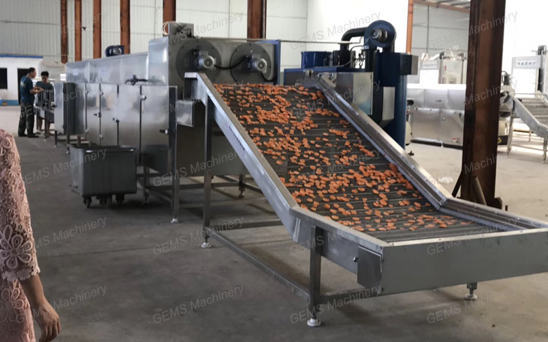 dehydrator machine