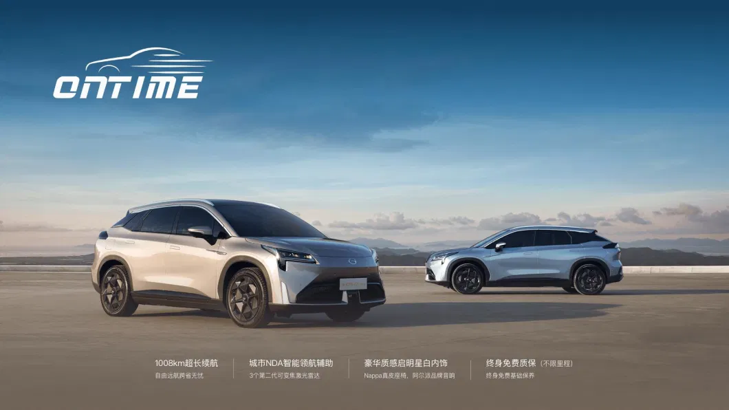 Electric Car Lx Plus Drive Long Battery Life Made in China Best Electric Vehicle