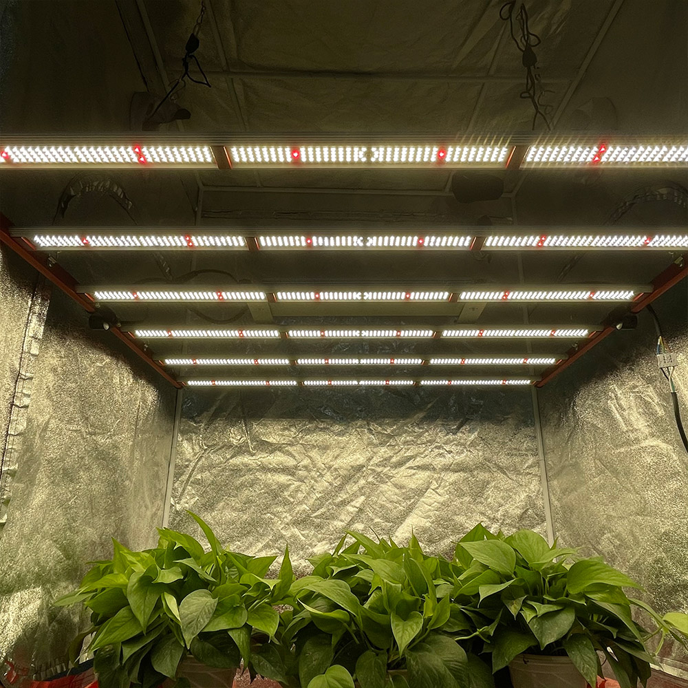 Sıcak Satış Sunlike Tam Spektrum LED Grow Işıkları