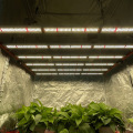 Melhor lâmpada LED de 600W para cultivo interno de 5 x 5 pés