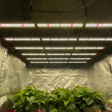 La mejor planta de interior LED de 600W crece la luz 5x5ft