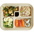 Compostable 5-Section Fiber Bento Food Boxes