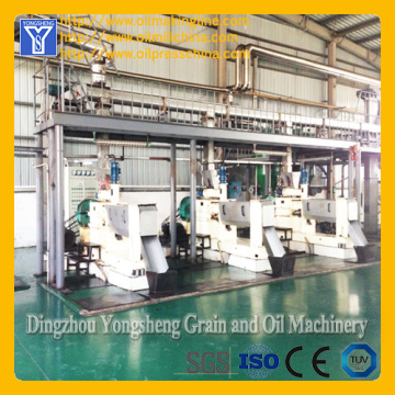 Mustard Oil Plant Machinery