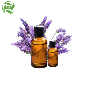 Pure natural lavender essential oil bulk price