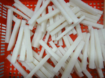 IQF BQF Frozen squid stripe