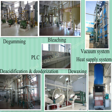 Rapeseed Oil Machinery---Offer Installation & Commissioning