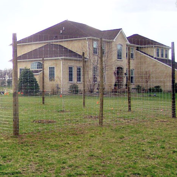 Wild Boar Fence Solutions