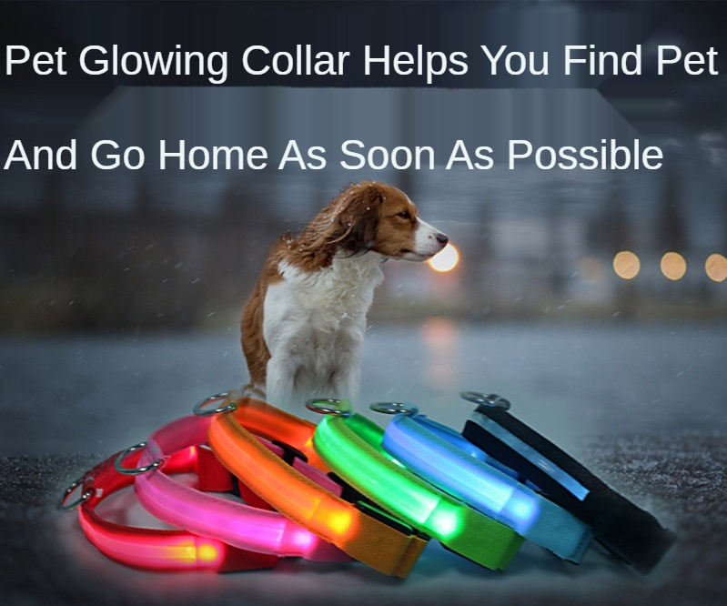 Practical LED Luminous Pet Collar USB Charging Pet Collar Flashing Dog Collar