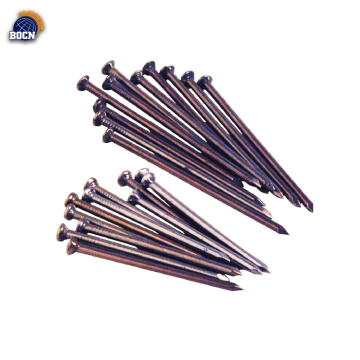 0.5 inch high quality black common nail