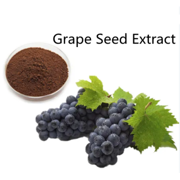 Buy online active ingredients Grape Seed Extract powder