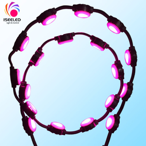 20mm Entertainment LED Pixel Light String Dijital Kontrol