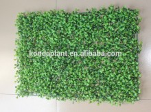 Artificial boxwood plastic grass artificial boxwood hedg