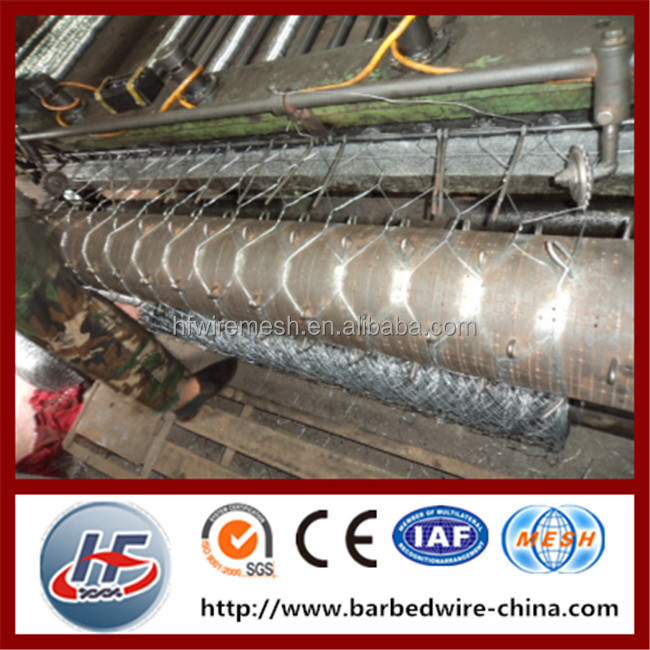 hexagon wire netting,chicken mesh,electro galvanized after weaving hexagonal wire netting