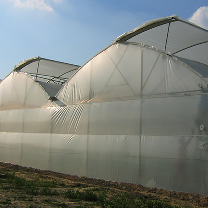 Large 10m Tunnel Plastic Film Greenhouse