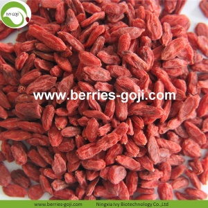Factory Supply Fruit Nutrition Lose Weight Goji Berries