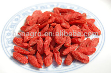 China goji berry